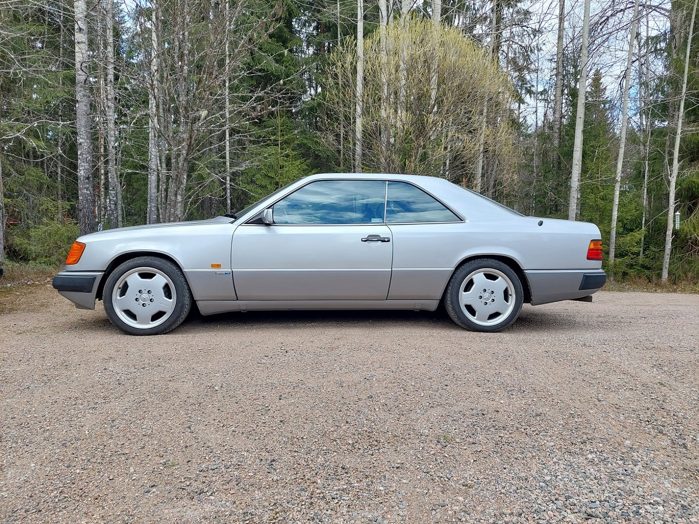 Sportline.jpg